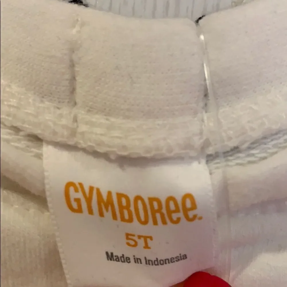 🎉1 hr sale 🎉Gymboree sweater